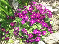 22c2317e-Picture 008.jpg